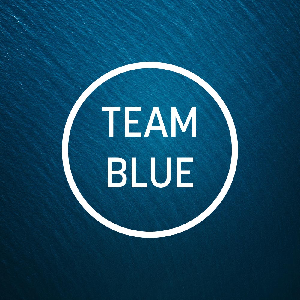 Team Blue: SRC Strategy