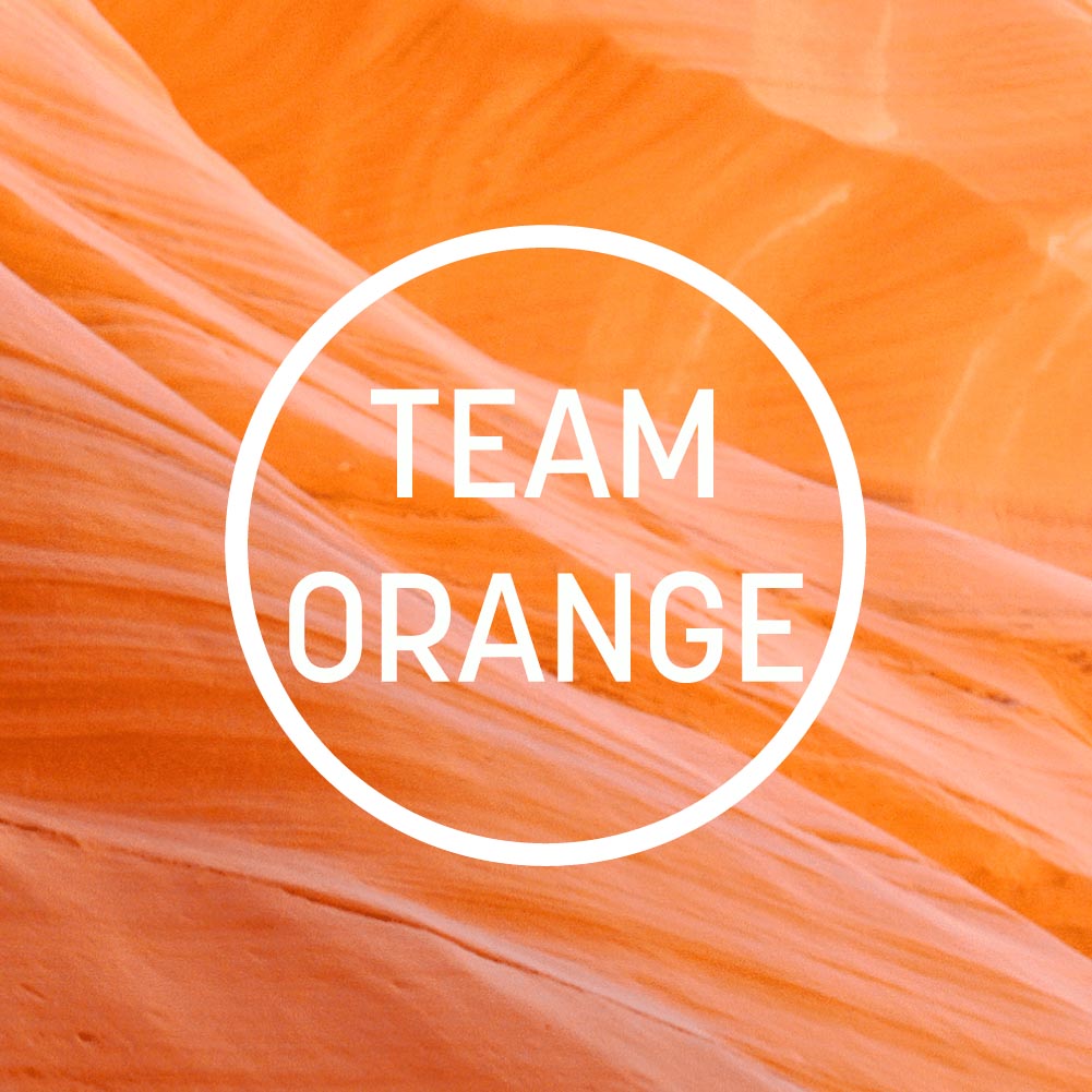 Team Orange: 1550 Strategy